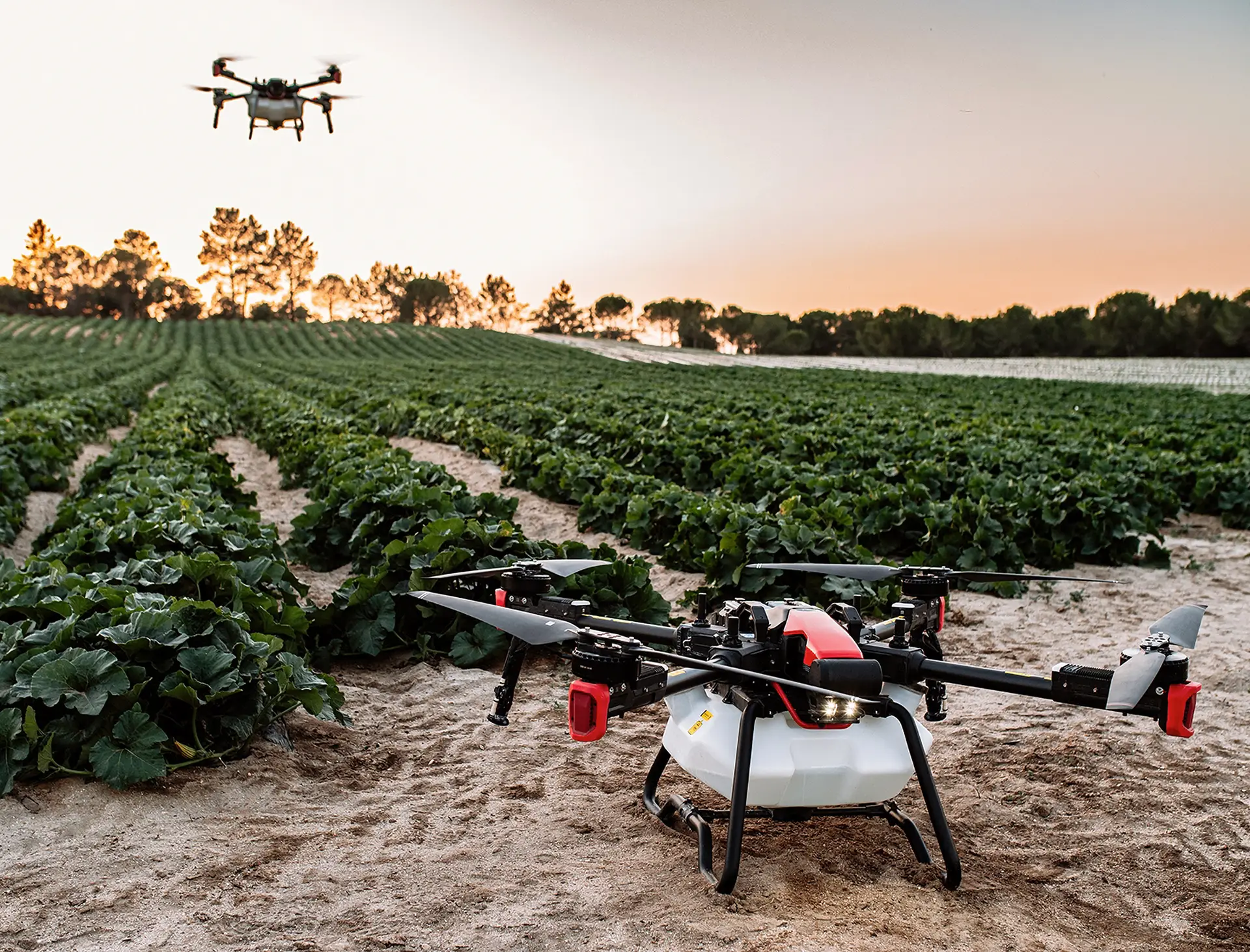 Drone agrícola em operação no campo